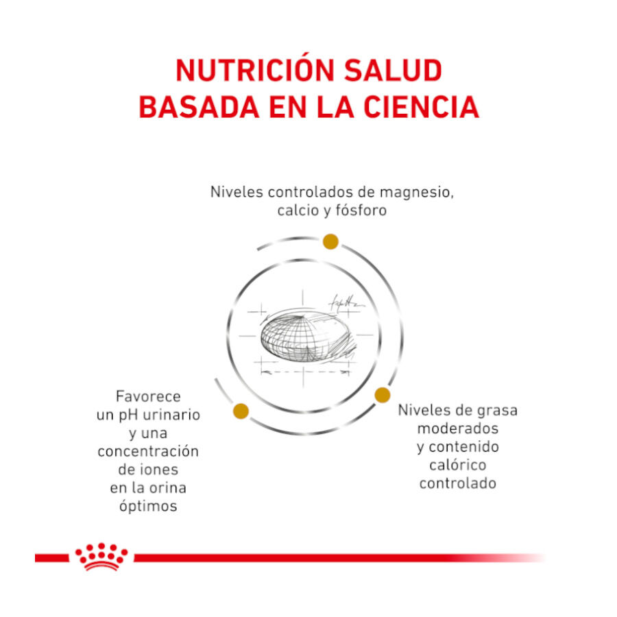 12 saquetas x 85 g Royal Canin Veterinary Urinary Moderate Calorie ra&ccedil;&atilde;o para gatos, , large Imagem n&uacute;mero 3