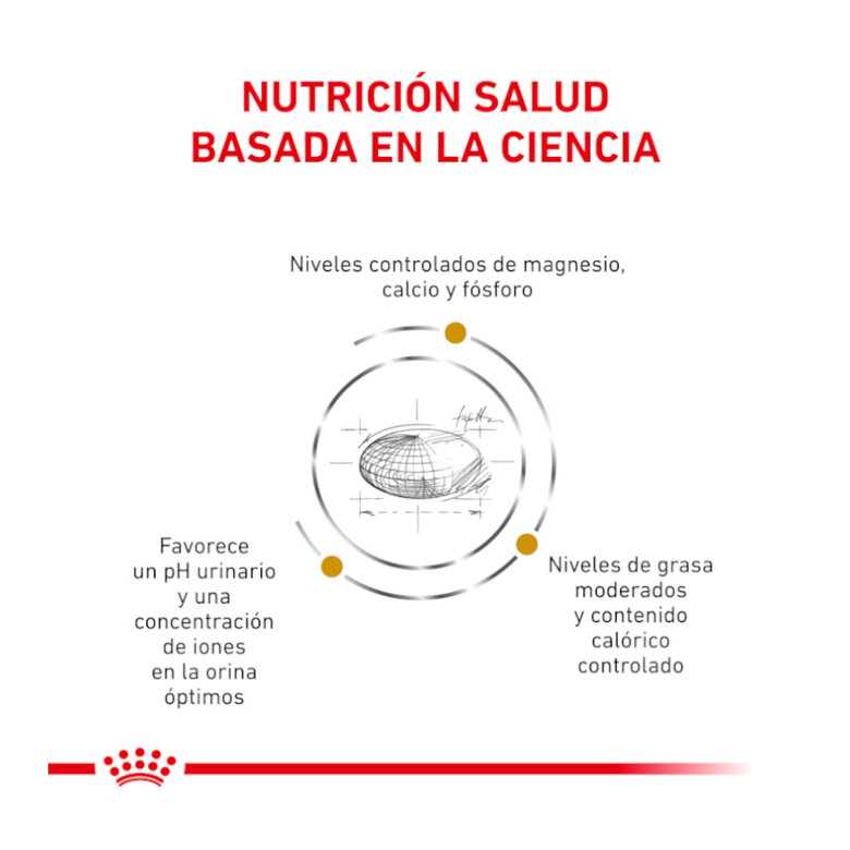 24 saquetas x 85 g Royal Canin Veterinary Urinary Moderate Calorie ração para gatos Pack poupança!,  Imagem número 3 24 saquetas x 85 g Royal Canin Veterinary Urinary Moderate Calorie ração para gatos Pack poupança!, , large Imagem número 3