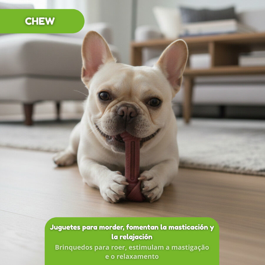 Tootoy! Chew Osso de bamboo para c&atilde;es, , large Imagem n&uacute;mero 5