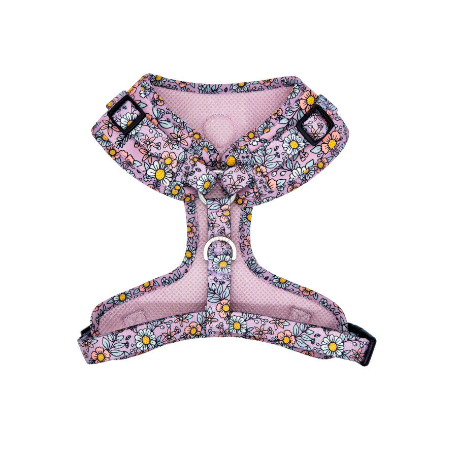 Dukier Flower Power Peitoral ajust&aacute;vel para c&atilde;es , , large Imagem n&uacute;mero 2