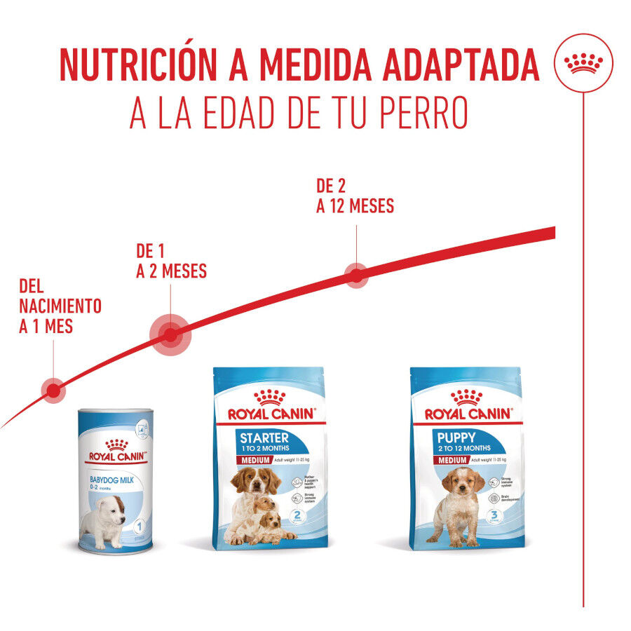 15 kg Royal Canin Medium Starter Mother&Baby ra&ccedil;&atilde;o para c&atilde;es, , large Imagem n&uacute;mero 6
