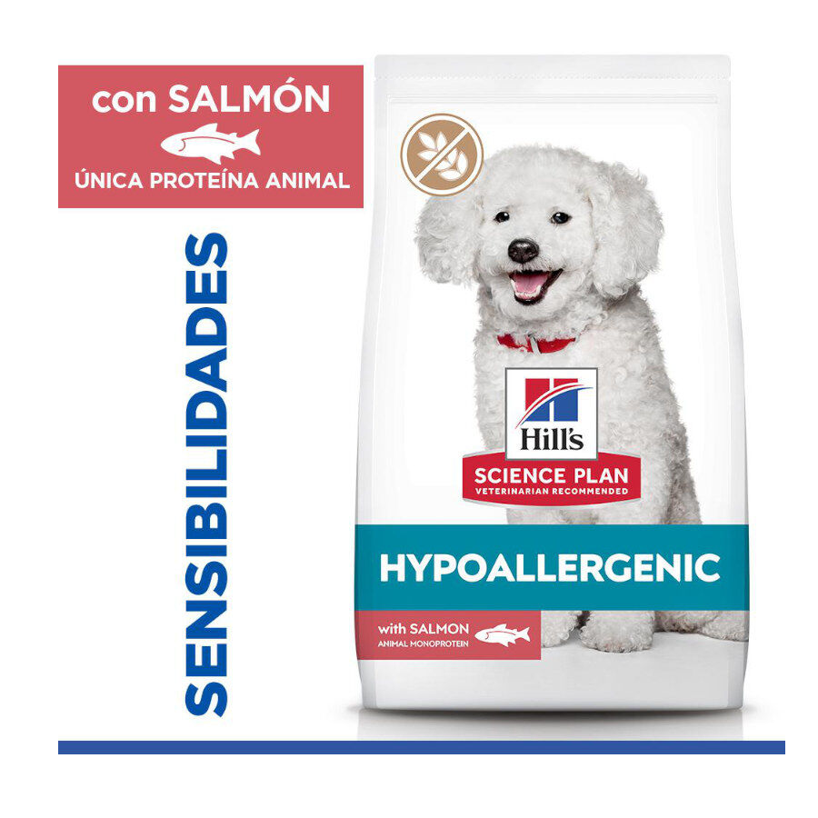 Hill's Science Plan Hipoalerg&eacute;nico Small e Mini Salm&atilde;o ra&ccedil;&atilde;o para c&atilde;es , , large Imagem n&uacute;mero 2