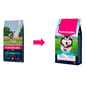Eukanuba Adult Salmão ração para cães 