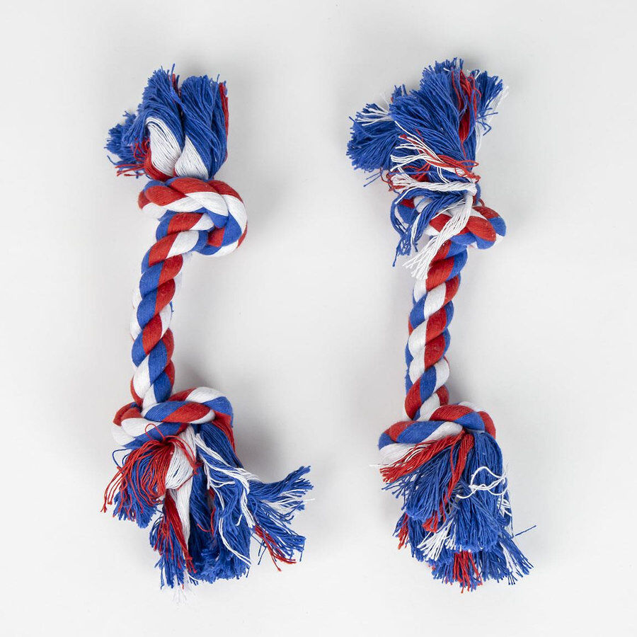 Marvel Capit&atilde;o Am&eacute;rica Conjunto de presente de boas-vindas para c&atilde;es, , large Imagem n&uacute;mero 3