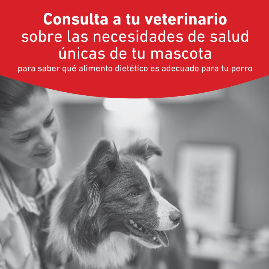 7 kg Royal Canin Veterinary Diabetic ra&ccedil;&atilde;o para c&atilde;es , , large Imagem n&uacute;mero 2