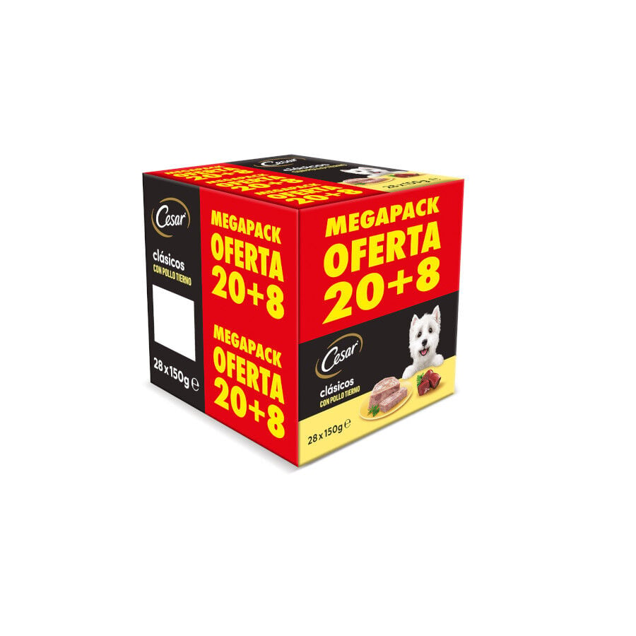 28 terrinas x 150 g (20 + 8 terrinas gr&aacute;tis!) Cesar Frango e F&iacute;gado Terrina em Geleia para C&atilde;es, , large Imagem n&uacute;mero 1