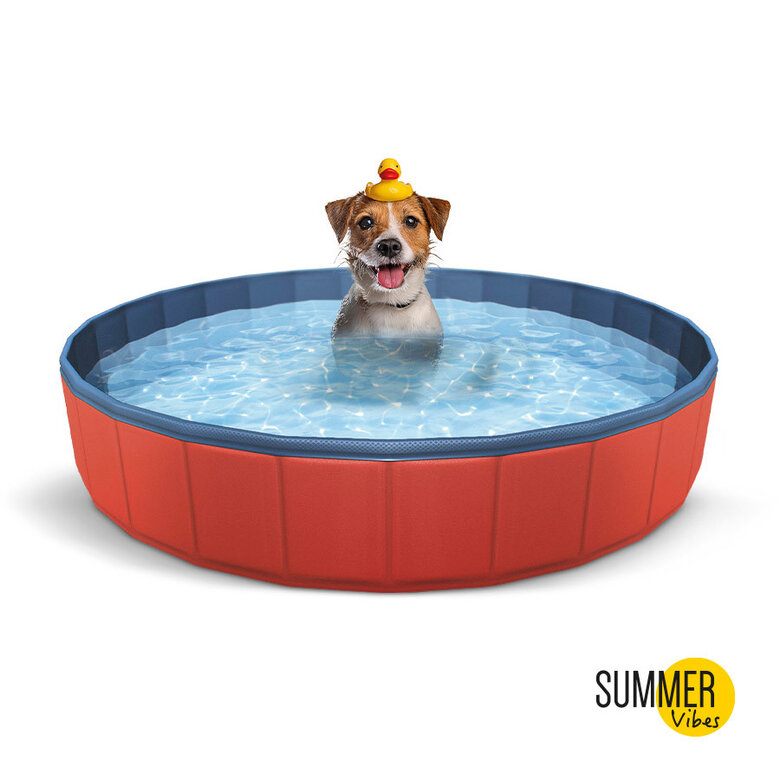 Summer Vibes Piscina Vermelha para cães,  Imagem número 2 Summer Vibes Piscina Vermelha para cães, , large Imagem número 2