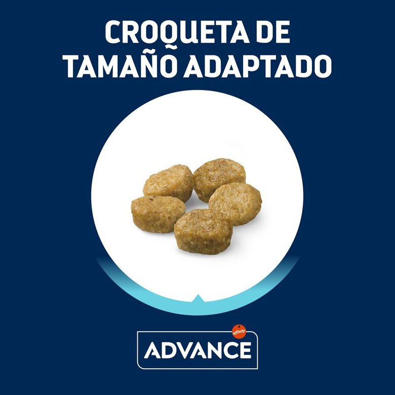 12 kg (10 + 2 kg grátis!) Advance Active Defense Sterilized Hairball Peru e Cevada ração para gatos,  Imagem número 2 12 kg (10 + 2 kg grátis!) Advance Active Defense Sterilized Hairball Peru e Cevada ração para gatos, , large Imagem número 2