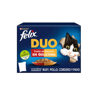 Felix Fantastic Duo Carne em Gelatina saqueta