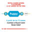 Royal Canin Puppy Boxer ração para cães, , large Indicador imagem número 6