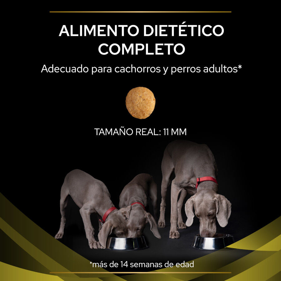 Pro Plan Veterinary Diets Hepatic HP ra&ccedil;&atilde;o para c&atilde;es, , large Imagem n&uacute;mero 3