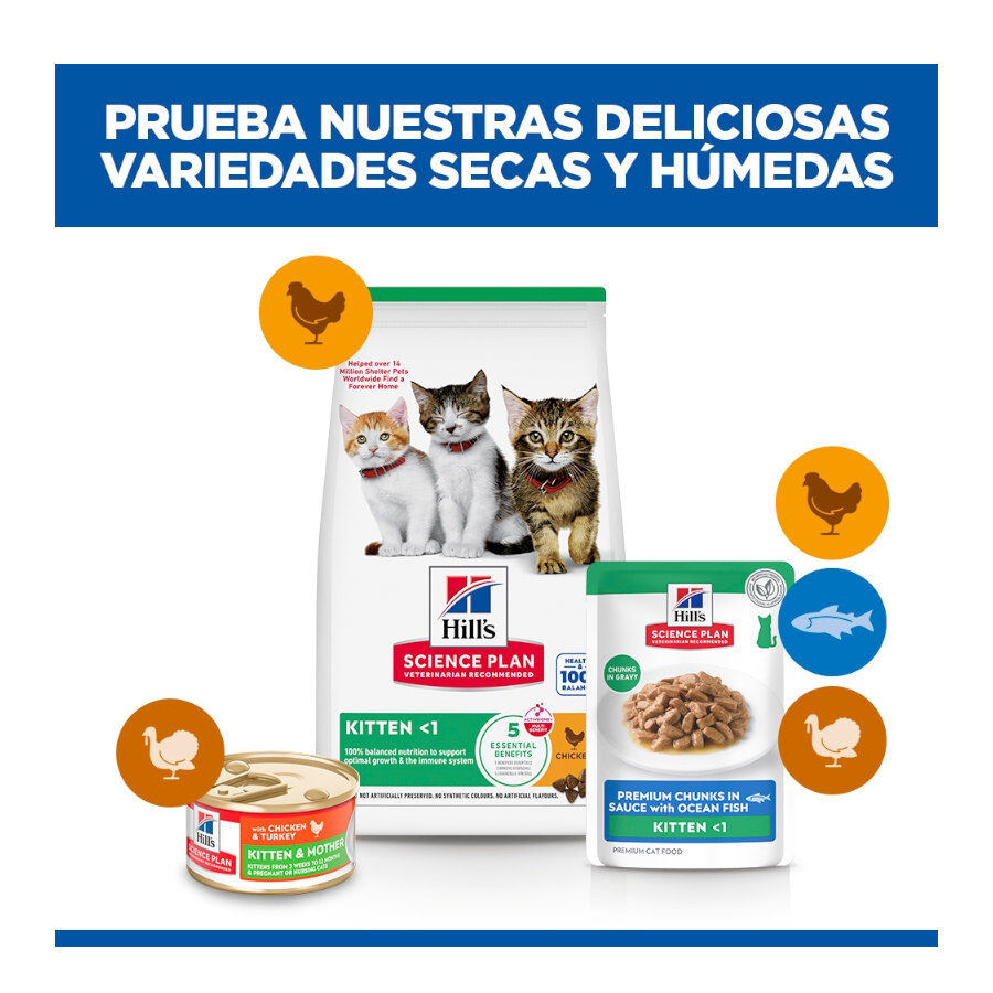 85 g Hill's Kitten Science Plan Peixe Azul saqueta em molho, , large Imagem n&uacute;mero 11