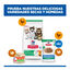85 g Hill's Kitten Science Plan Peixe Azul saqueta em molho, , large Indicador imagem n&uacute;mero 11