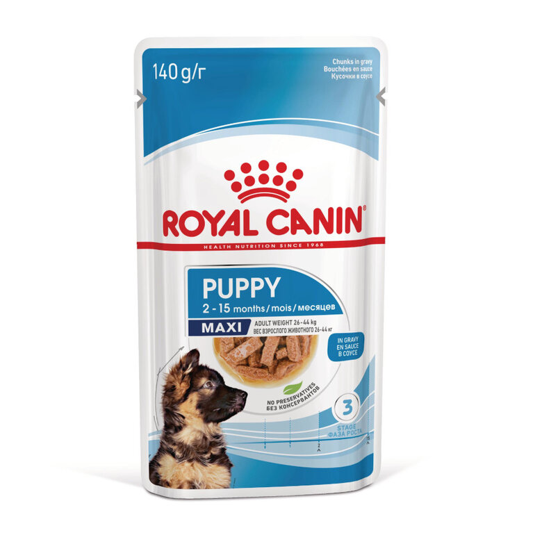 140 g Royal Canin Maxi Puppy Alimento húmido para cães,  Imagem número 1 140 g Royal Canin Maxi Puppy Alimento húmido para cães, , large Imagem número 1