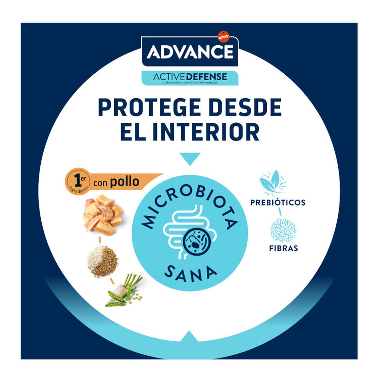 1.5 kg Advance Active Defense Sterilized +10 frango e cevada ração para gatos,  Imagem número 7 1.5 kg Advance Active Defense Sterilized +10 frango e cevada ração para gatos, , large Imagem número 7