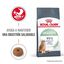 2 x 10 kg Royal Canin Adult Digestive ração para gatos Pack poupança!, , large Indicador imagem número 2