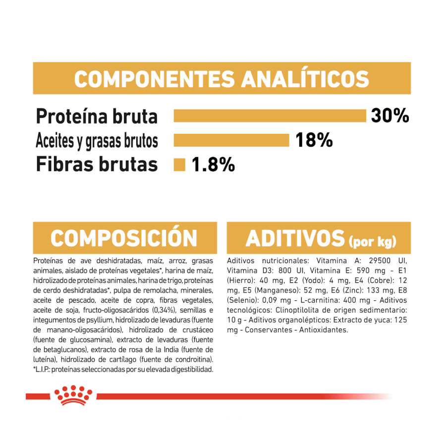 Royal Canin Puppy Boxer ra&ccedil;&atilde;o para c&atilde;es, , large Imagem n&uacute;mero 8