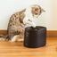 Cecotec Pumba 2500 Refresh Smart Bebedouro para gatos, , large Indicador imagem número 8