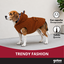 Gotoo Casaco Teddy Castanho para c&atilde;es, , large Indicador imagem n&uacute;mero 6