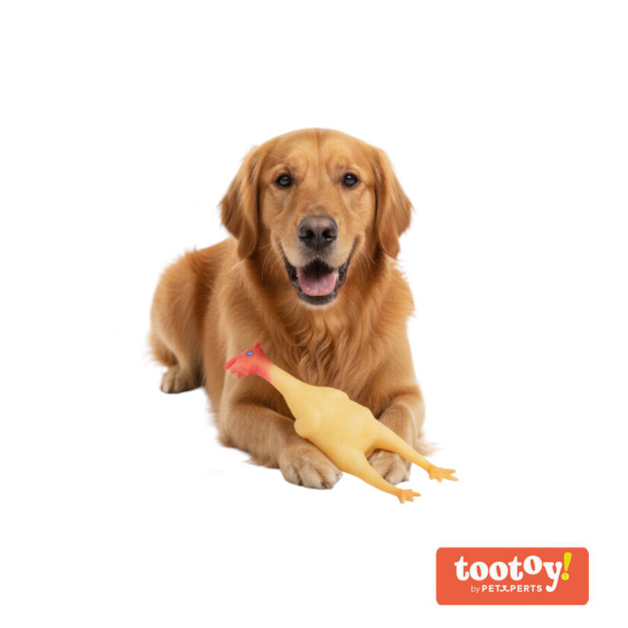 Tootoy! Chew Brinquedo galinha de quinta para c&atilde;es, , large Imagem n&uacute;mero 8