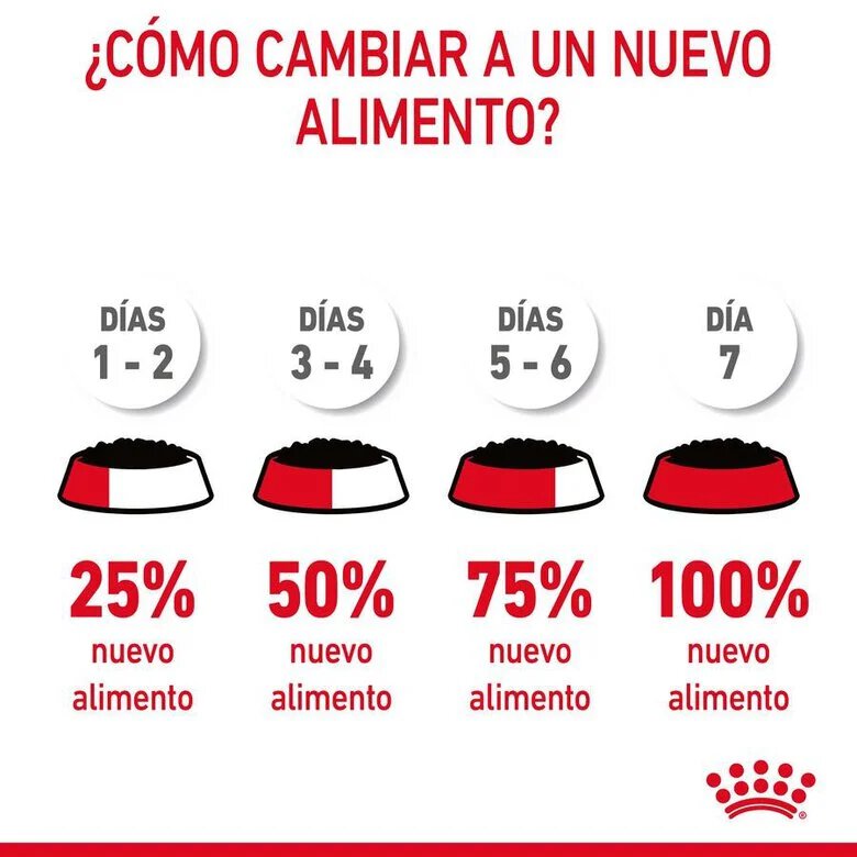 85 g Royal Canin Hairball alimento húmido em molho saquetas para gatos,  Imagem número 11 85 g Royal Canin Hairball alimento húmido em molho saquetas para gatos, , large Imagem número 11