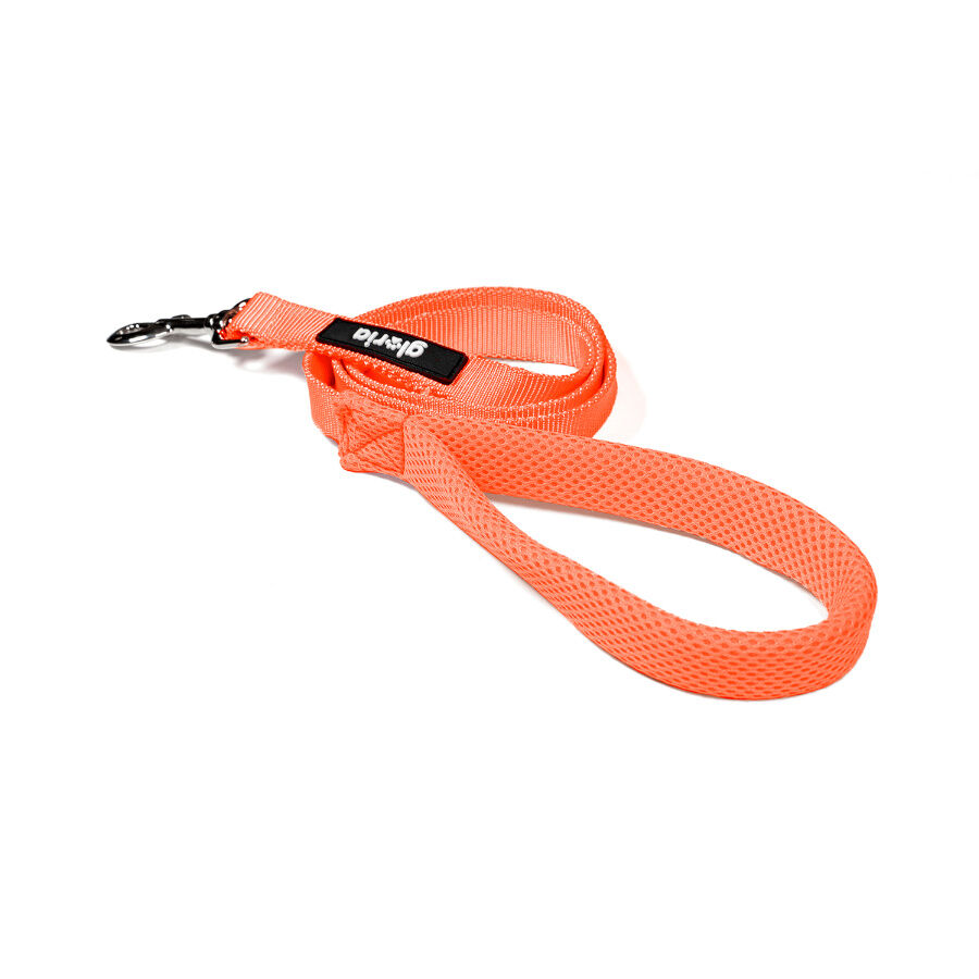 Gloria Air Mesh Trek Star Trela Laranja para c&atilde;es, , large Imagem n&uacute;mero 2