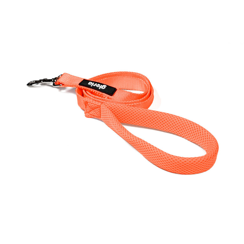 Gloria Air Mesh Trek Star Trela Laranja para cães,  Imagem número 2 Gloria Air Mesh Trek Star Trela Laranja para cães, , large Imagem número 2