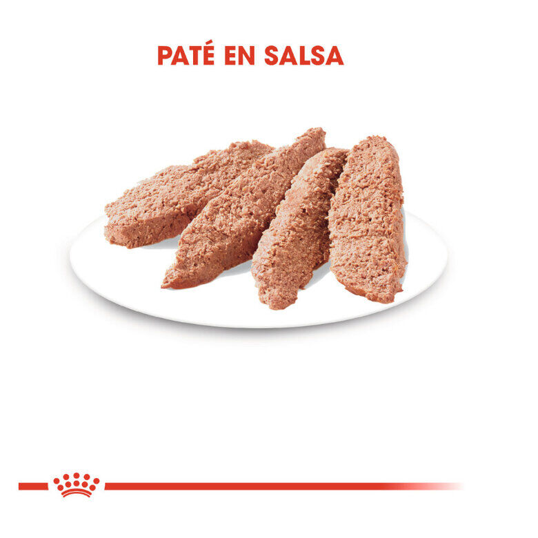24 saquetas x 85 g Royal Canin Instinctive pat&ecirc; saqueta para gatos Pack poupan&ccedil;a!, , large Imagem n&uacute;mero 3