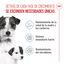 Royal Canin Mini Starter MothereBaby ração para cães, , large Indicador imagem número 3