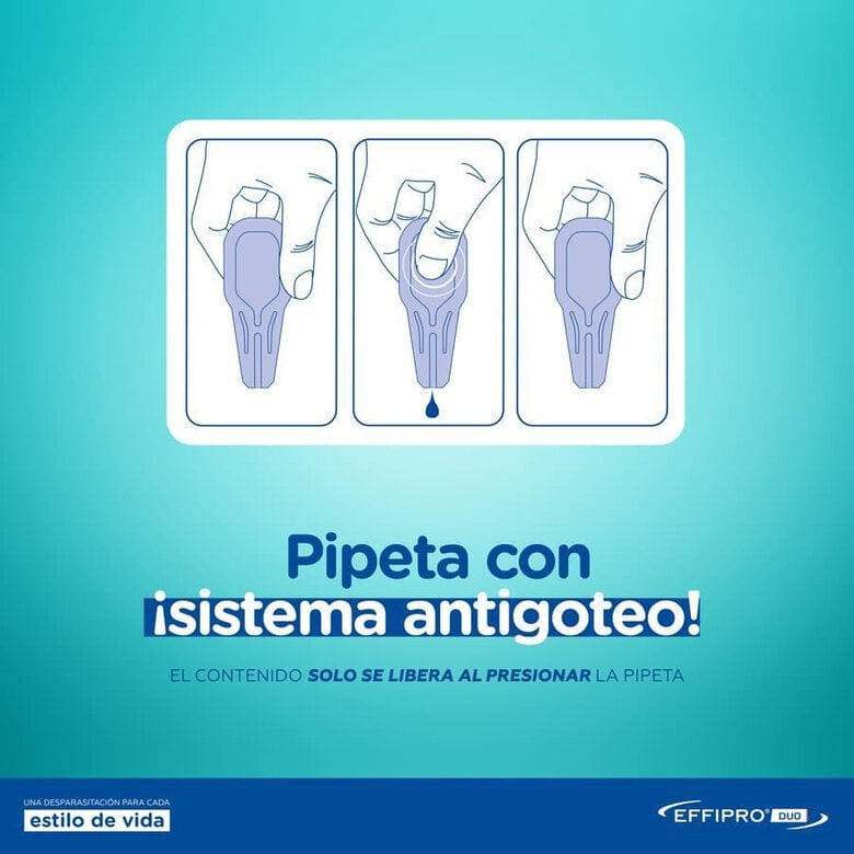 Effipro Duo pipetas antiparasíticas para cães,  Imagem número 4 Effipro Duo pipetas antiparasíticas para cães, , large Imagem número 4