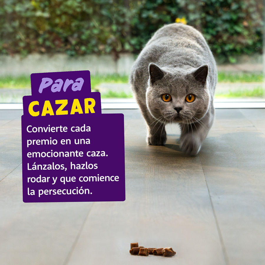 45 g Edgard & Cooper Rolls Snack de frango e peru para gatos, , large Imagem n&uacute;mero 4