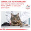 12 saquetas x 85 g Royal Canin Mature Consult Láminas em molho Sachet para gatos, , large Indicador imagem número 6