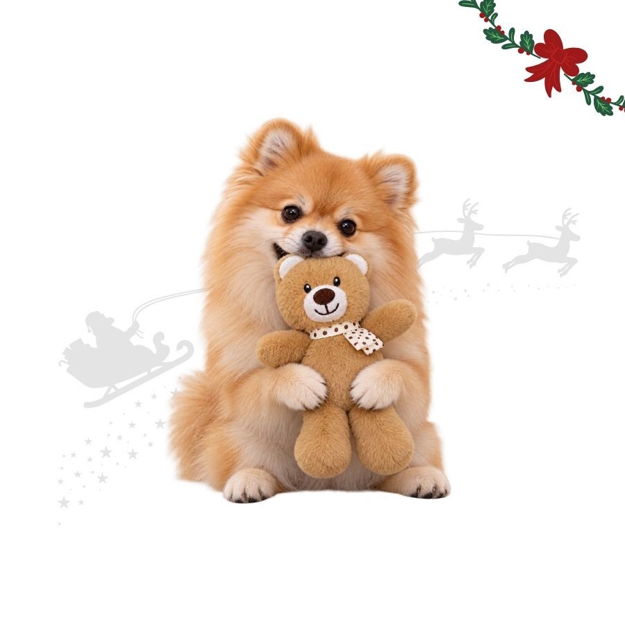 Wonder Christmas Urso Rebu&ccedil;ado Peluche para c&atilde;es, , large Imagem n&uacute;mero 1