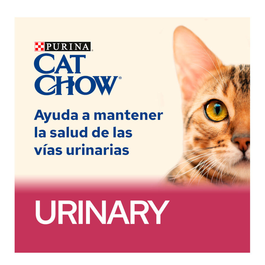 2 x 15 kg Cat Chow Urinary Tract Health Frango ra&ccedil;&atilde;o para gatos Pack poupan&ccedil;a!, , large Imagem n&uacute;mero 3