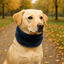 Outech Cachecol Azul para cães, , large Indicador imagem número 1