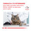 2 kg Royal Canin Gastrointestinal Hairball ração para gatos, , large Indicador imagem número 9