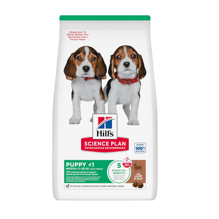 14 kg Hill's Science Plan Puppy Medium Ra&ccedil;&atilde;o de cordeiro e arroz para c&atilde;es, , large Imagem n&uacute;mero 1