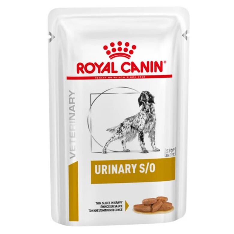 Royal Canin Urinary comida h&uacute;meda en salsa para perros Imagem n&uacute;mero 1