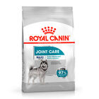 Royal Canin Maxi Joint Care ração para cães, , large image number null