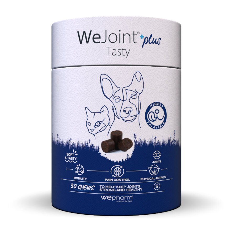Wepharm Wejoint Plus Tasty Suplemento para c&atilde;es e gatos, , large Imagem n&uacute;mero 1