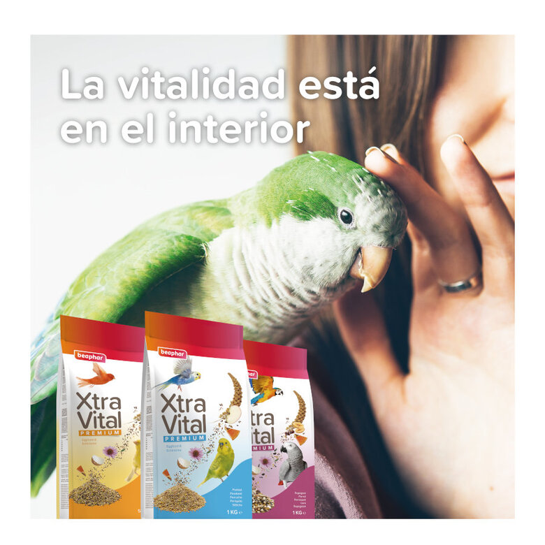Beaphar XtraVital Mistura para cacatuas,  Imagem número 7 Beaphar XtraVital Mistura para cacatuas, , large Imagem número 7