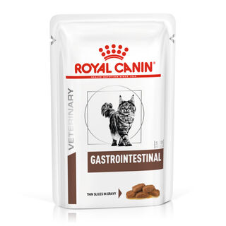 Royal Canin Veterinary Gastrointestinal saqueta em molho para cães
