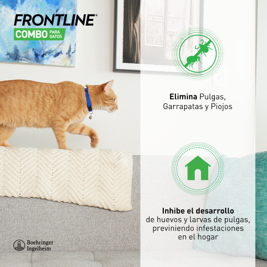 Frontline Combo pipetas antiparasit&aacute;rias para gatos e fur&otilde;es, , large Imagem n&uacute;mero 7