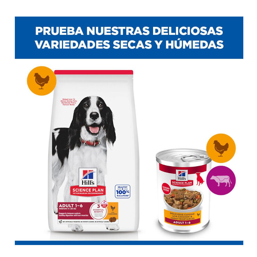 363 g Hill's Science Plan Adult Comida h&uacute;mida de Frango e Legumes para c&atilde;es, , large Imagem n&uacute;mero 8