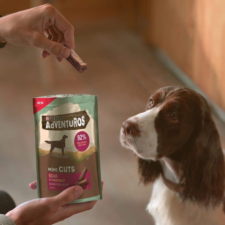 70 g Adventuros Sticks Mini javali para c&atilde;es, , large Imagem n&uacute;mero 6