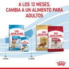 Royal Canin Puppy Medium ração para cães, , large image number null