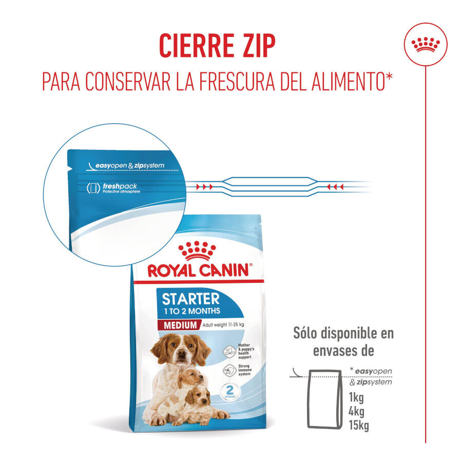 15 kg Royal Canin Medium Starter Mother&Baby ra&ccedil;&atilde;o para c&atilde;es, , large Imagem n&uacute;mero 10