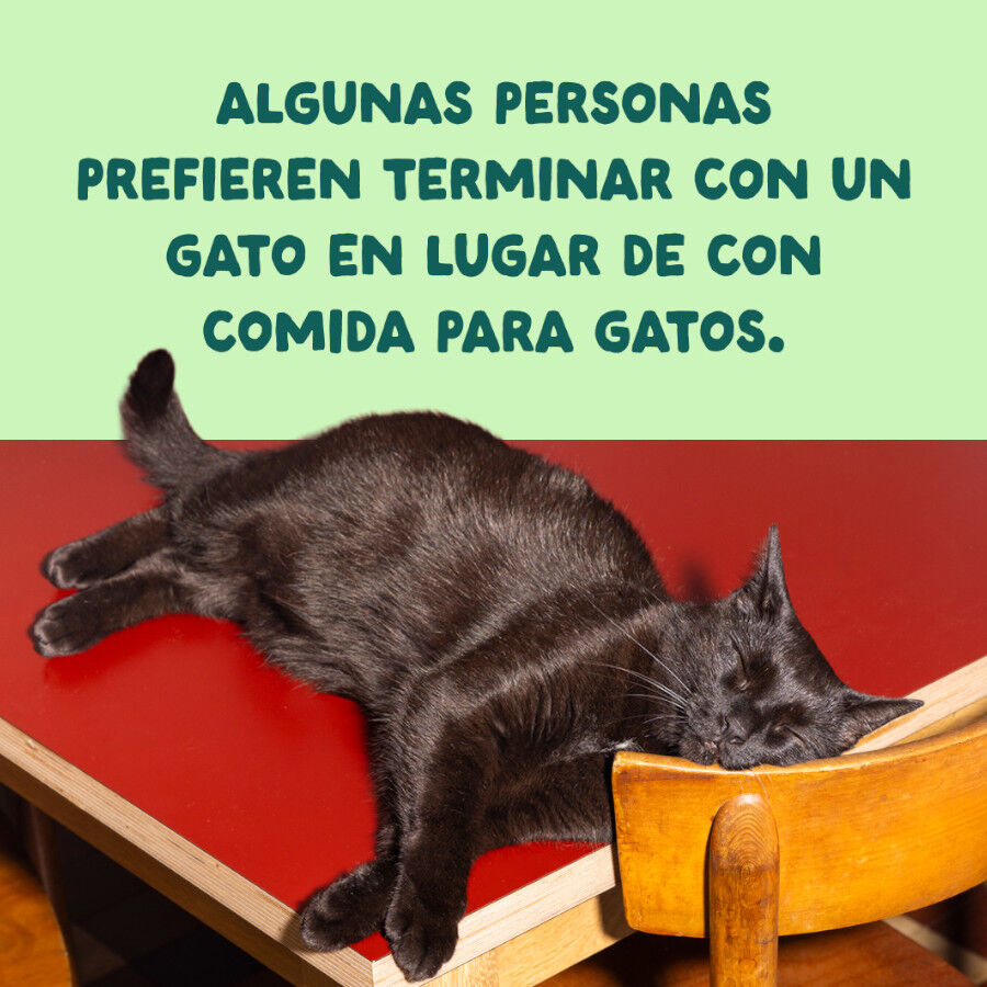 70 g Edgard & Cooper Filetes de Salm&oacute;n y Ceballa Lata para gatos, , large Imagem n&uacute;mero 9