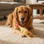Tootoy! Chew Brinquedo galinha de quinta para c&atilde;es, , large Indicador imagem n&uacute;mero 1