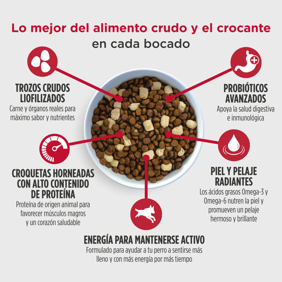 9 kg Nulo Raw Medley Ra&ccedil;&atilde;o de Frango, Aveia e Peru para C&atilde;es, , large Imagem n&uacute;mero 3